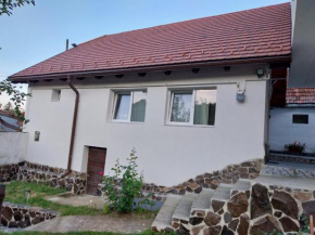 Casa Schei